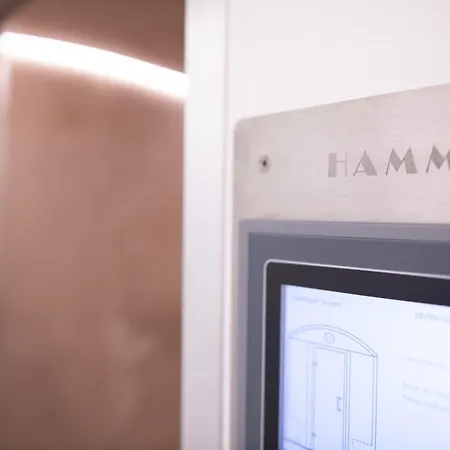 Le Switch Souplex Avec Hammam Privatif Apartament Lille